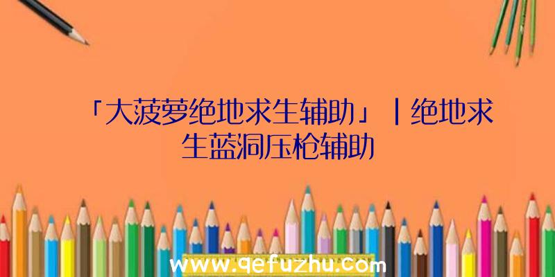 「大菠萝绝地求生辅助」|绝地求生蓝洞压枪辅助